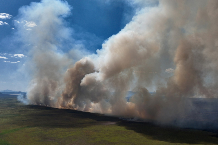 News about - In Photos: Wildfire scorches world's largest wetland