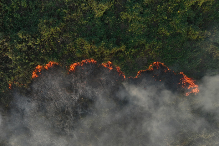 News about - In Photos: Wildfire scorches world's largest wetland