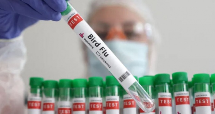 Man in Mexico dies with first human case of H5N2 bird flu 