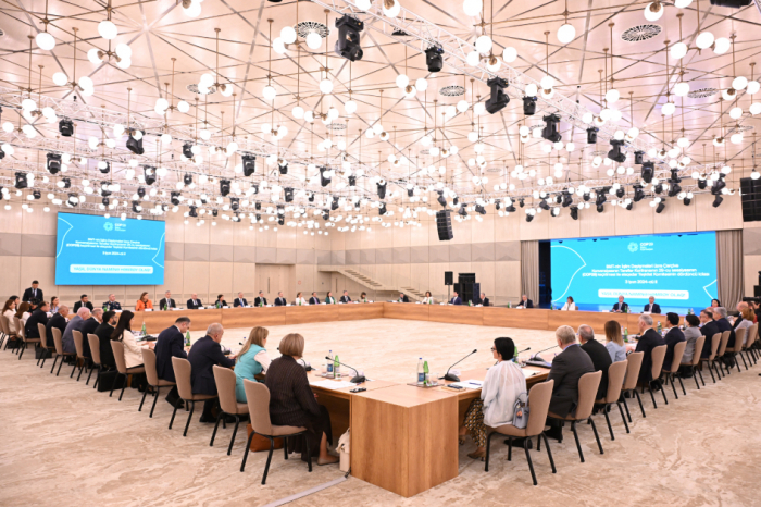 COP29 Organizing Committee holds fourth meeting 