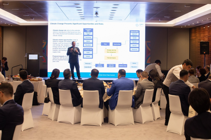 COP29 Azerbaijan operating company launches national pledge programme for businesses