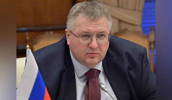 CIS countries steadily showing economic growth — Russian Deputy PM 
