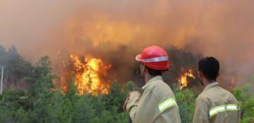 Türkiye bans entry to forests in 27 provinces amid fire risk 
