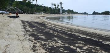 Singapore's Sentosa closes waters to clean oil leakage 