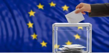 What will happen after the EU elections?