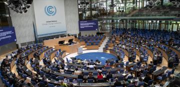 Foreign NGOs praise Azerbaijan’s efforts in promoting dialogue, co-op as COP29 host nation 
