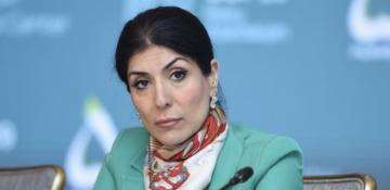 Attracting investment in tackling climate change challenges among COP29 key priorities: MP