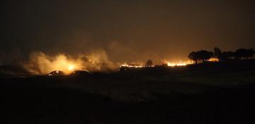 At least five dead as wildfires hit southeastern Türkiye - VIDEO