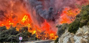 Türkiye hit by wildfires amid rising temperature -  VIDEO 