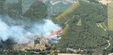 Wildfire erupts in Izmir forests 
