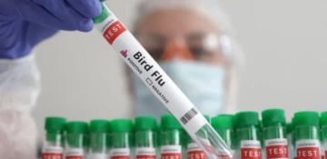 Man in Mexico dies with first human case of H5N2 bird flu 