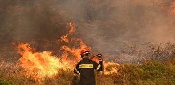 European nations brace for forest fires in 2024