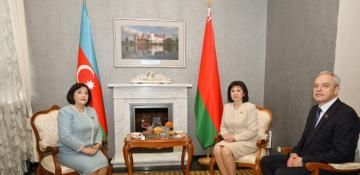 Azerbaijani Parliament speaker invites Belarusian colleagues to COP29 conference 