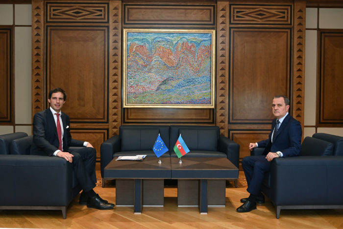 Discussions held on cooperation in implementing Azerbaijan's initiatives in addressing climate change