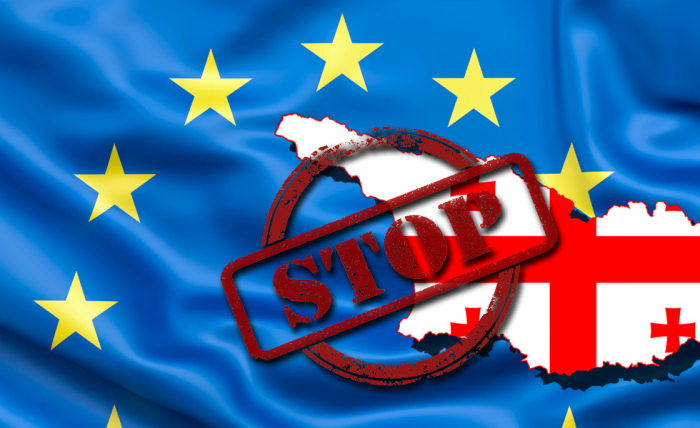 EU suspends Georgia's accession process:  Analysis of the situation 