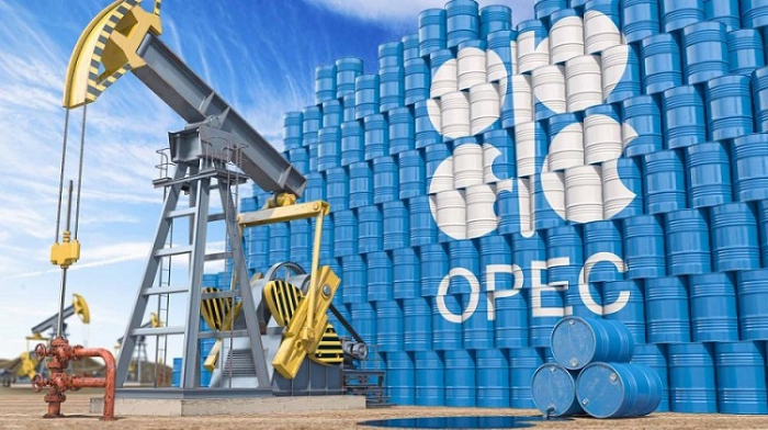 OPEC sticks to forecast for oil demand growth in 2024 