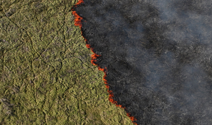 In Photos: Wildfire scorches world's largest wetland