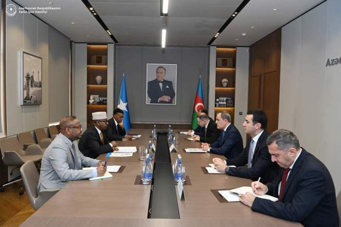 Azerbaijani, Somali FMs discuss bilateral cooperation