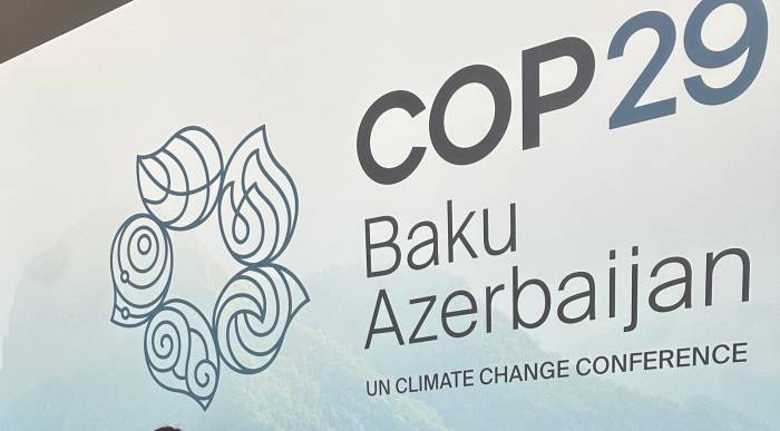 Morocco looking forward Azerbaijan's successful hosting of COP29 conference 