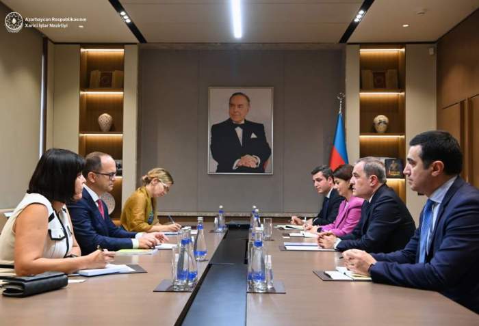 Azerbaijani FM, OSCE/ODIHR observation mission head discuss upcoming elections