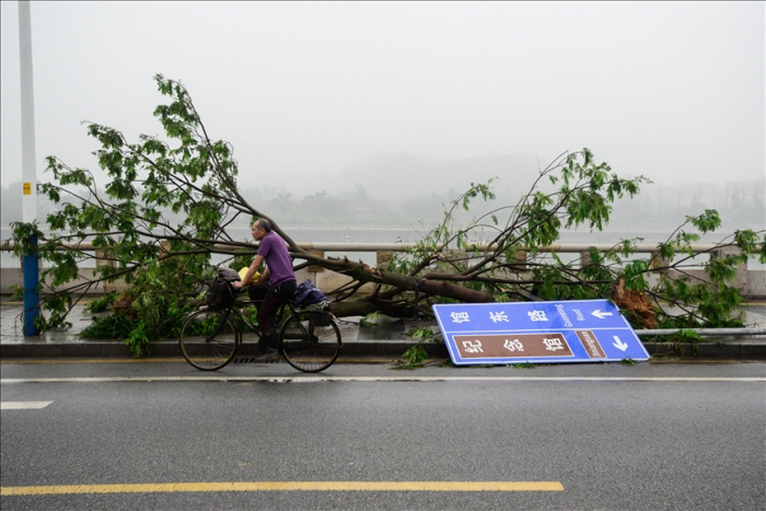 Rainstorms hit eastern China, triggering mass evacuations 