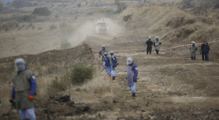 Azerbaijan defused over 500 landmines in liberated areas last month