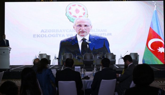 COP29 chief calls on private sector to share responsibility for sustainable future