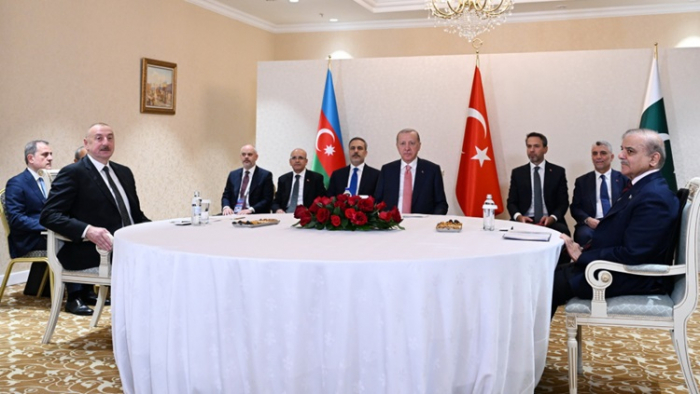 Turkish president, Pakistani premier to attend upcoming COP29 in Baku 