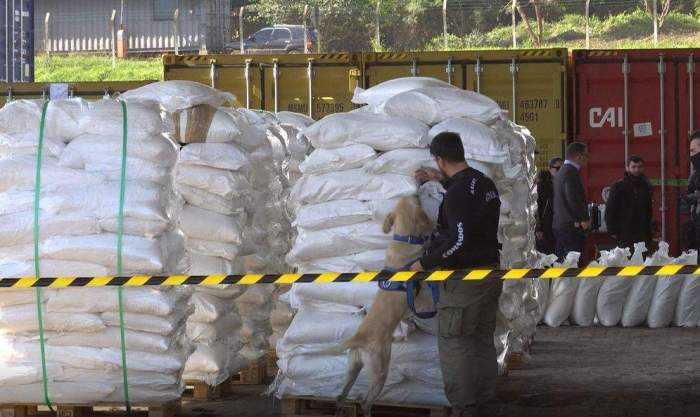Paraguay seizes 4 tons of cocaine hidden in sugar shipment to Belgium