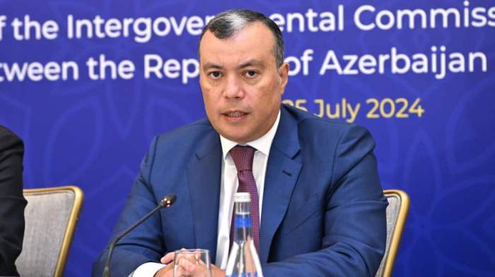 Azerbaijan announces plan to export green energy to Serbia