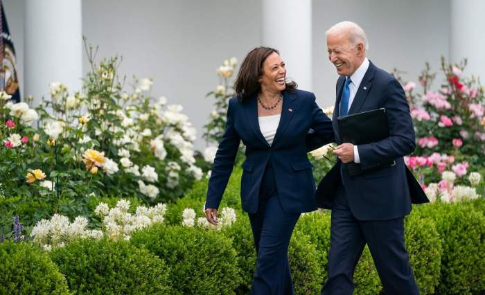 Biden endorses Harris as Democratic presidential nominee 