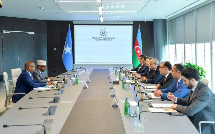 Azerbaijan, Somalia mull collaboration in energy sector