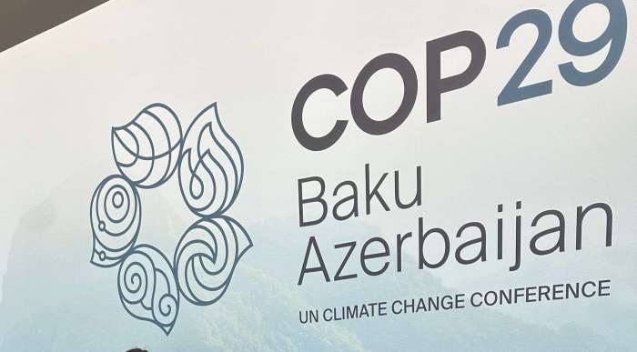 Brazilian companies to negotiate with Azerbaijani side within COP29