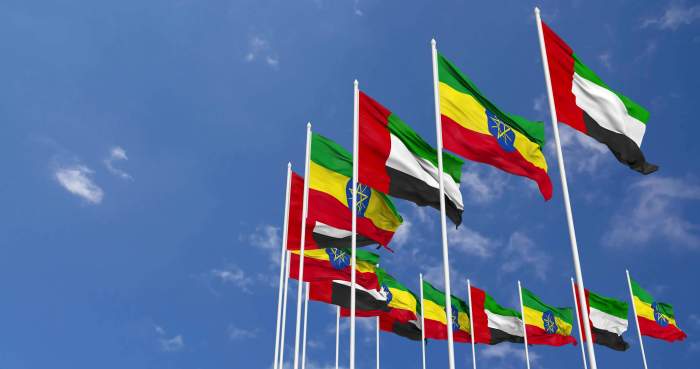 Ethiopia, UAE ink currency swap deal