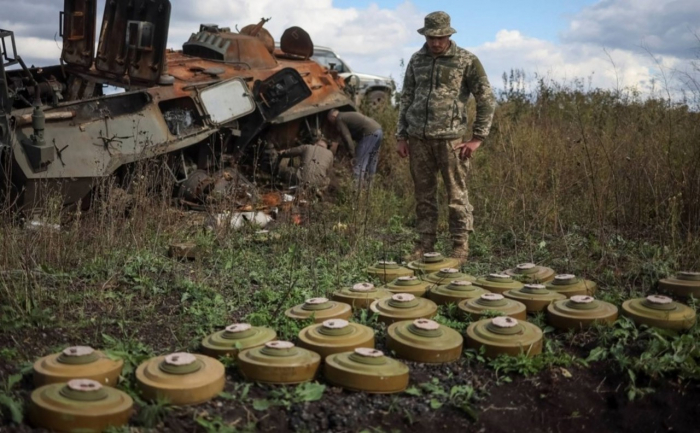 Japan, Cambodia to be involved in mine clearance in Ukraine 