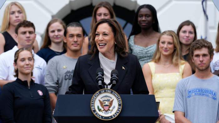 Harris garners enough delegate endorsements to clinch Democratic presidential nomination