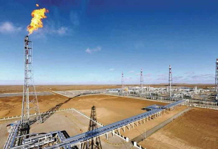 Turkmenistan, Abu Dhabi National Oil Company discuss co-op in gas sector
