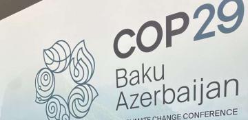 Brazilian companies to negotiate with Azerbaijani side within COP29