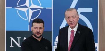 Erdogan, Zelenskyy meet in US on sidelines of NATO summit