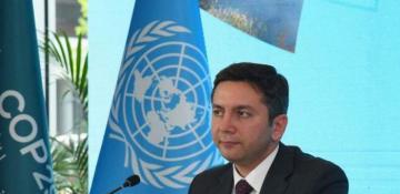 Azerbaijan considers establishing Climate Finance Action Fund within COP29