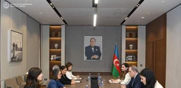 Azerbaijani FM discusses COP29 preparations with UN official