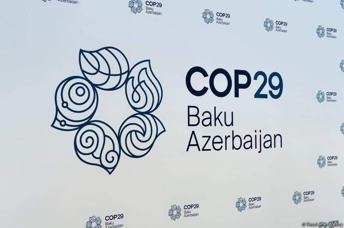 Baku hosts opening ceremony of COP29 academy