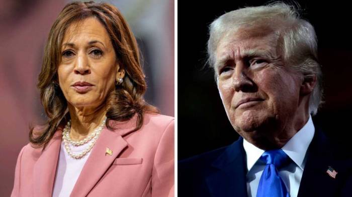 Poll reveals Trump more popular with US voters than Harris 