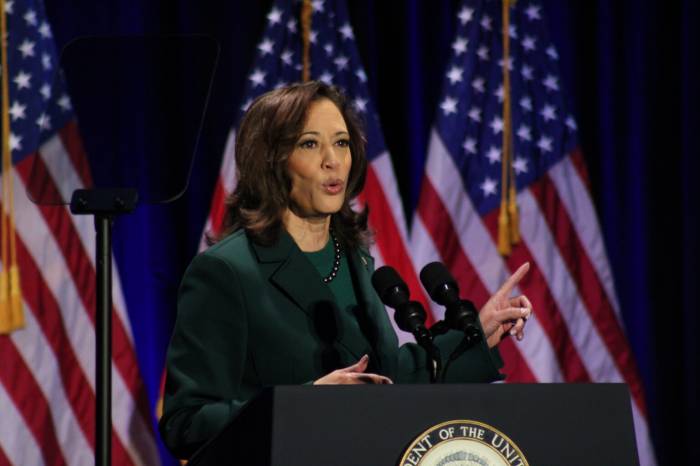 Kamala Harris secures US Democratic presidential nomination