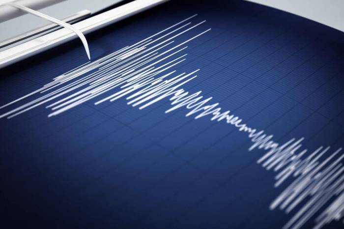 Magnitude 4.8 earthquake strikes East Kazakhstan 