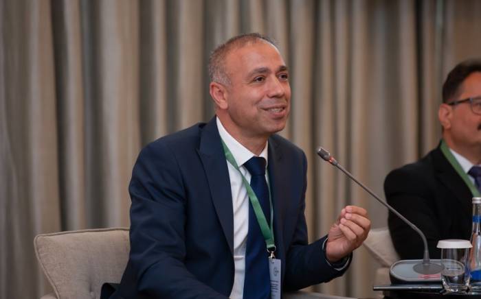 Azerbaijan is committed to holding COP29 with inclusivity and transparency - CEO Elnur Soltanov