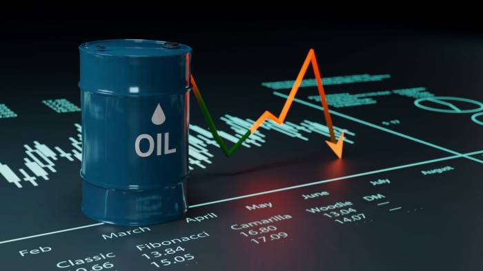 Oil falls, Brent settles at 7-month low after disappointing US job numbers 