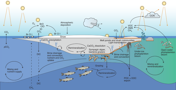 News about -  How the Arctic is changing and what it means for the world: An interview with Robert Newton 