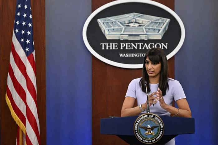 Pentagon states Ukraine's incursion into Kursk Oblast aligns with US policy 