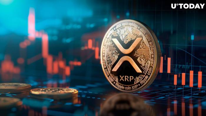 Future of Ripple: What to expect from XRP's price?